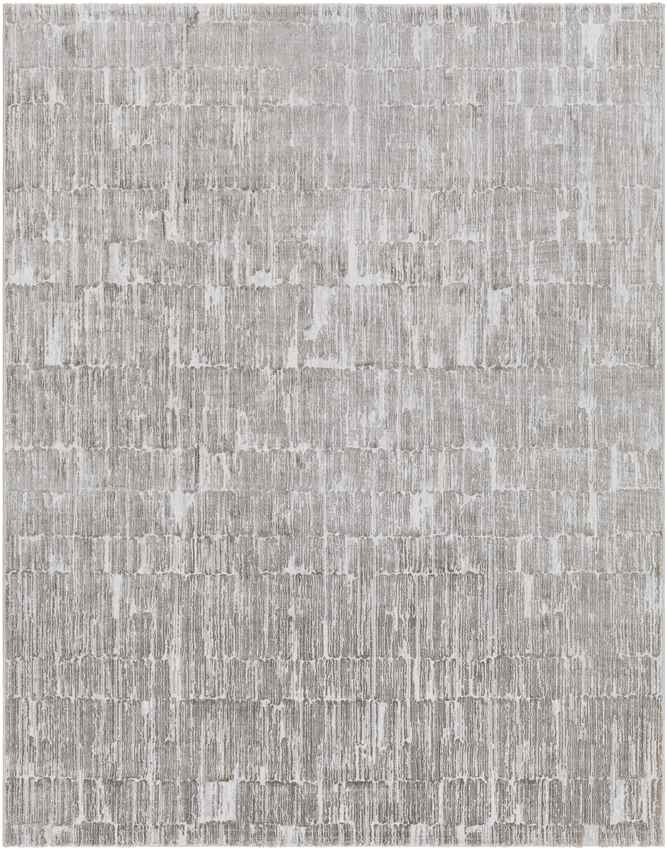 Schagen Modern Light Gray Area Rug