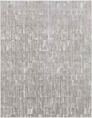 Schagen Modern Light Gray Area Rug