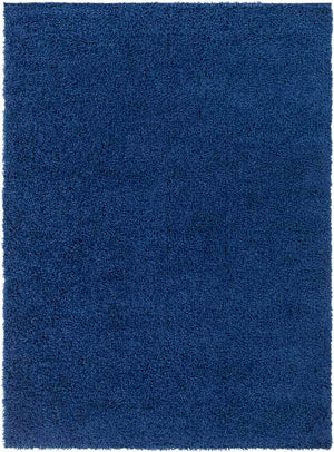 Tuindorp Modern Navy Area Rug