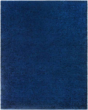 Tuindorp Modern Navy Area Rug