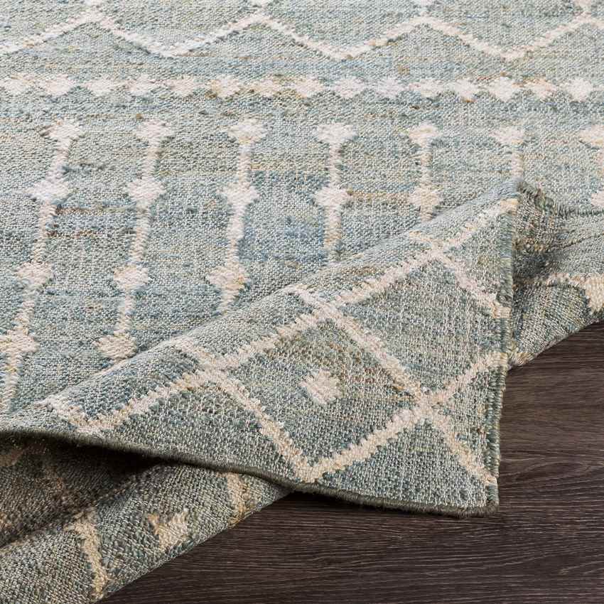 Barlaque Global Sage Area Rug