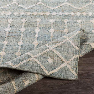 Barlaque Global Sage Area Rug