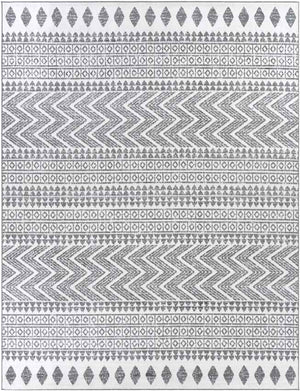 Beugt Global Medium Gray Area Rug
