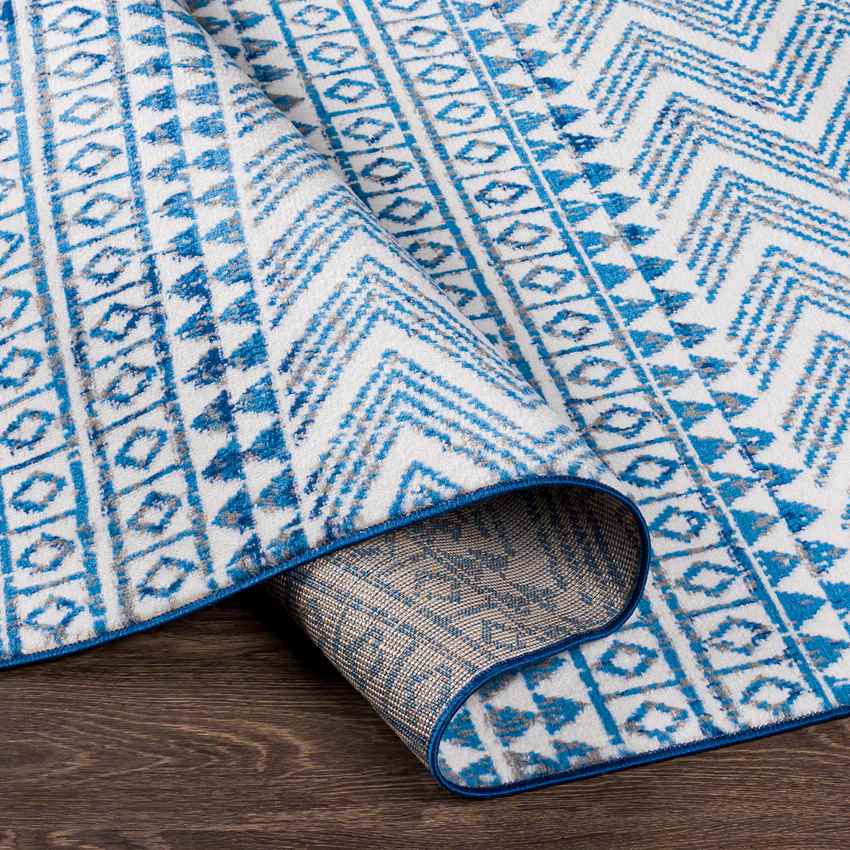 Beugt Global Blue Area Rug