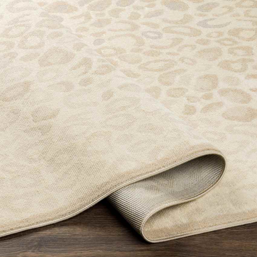Escharen Modern Ivory Area Rug
