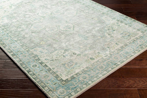 Heiereind Traditional Sage Area Rug