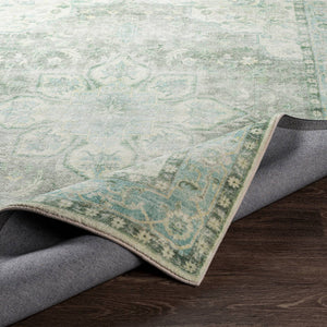 Heiereind Traditional Sage Area Rug