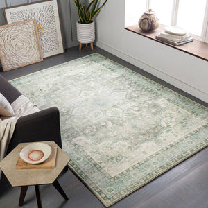 Heiereind Traditional Sage Area Rug