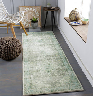 Heiereind Traditional Sage Area Rug