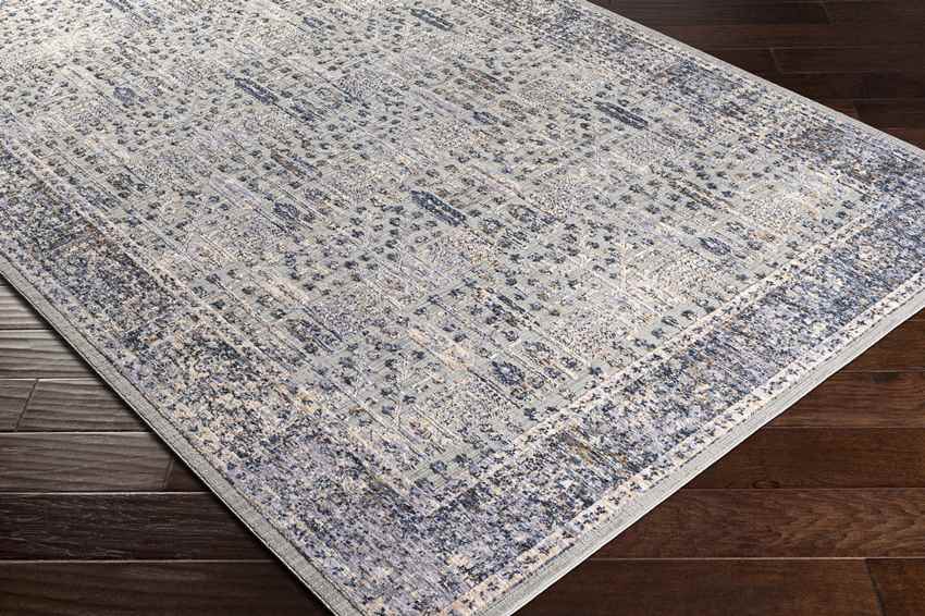 Lieshout Traditional Pale Blue Area Rug