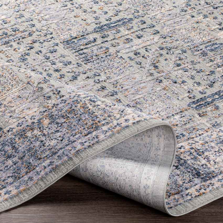 Lieshout Traditional Pale Blue Area Rug