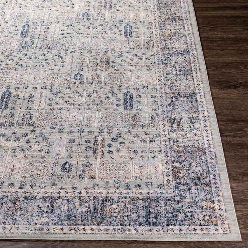 Lieshout Traditional Pale Blue Area Rug