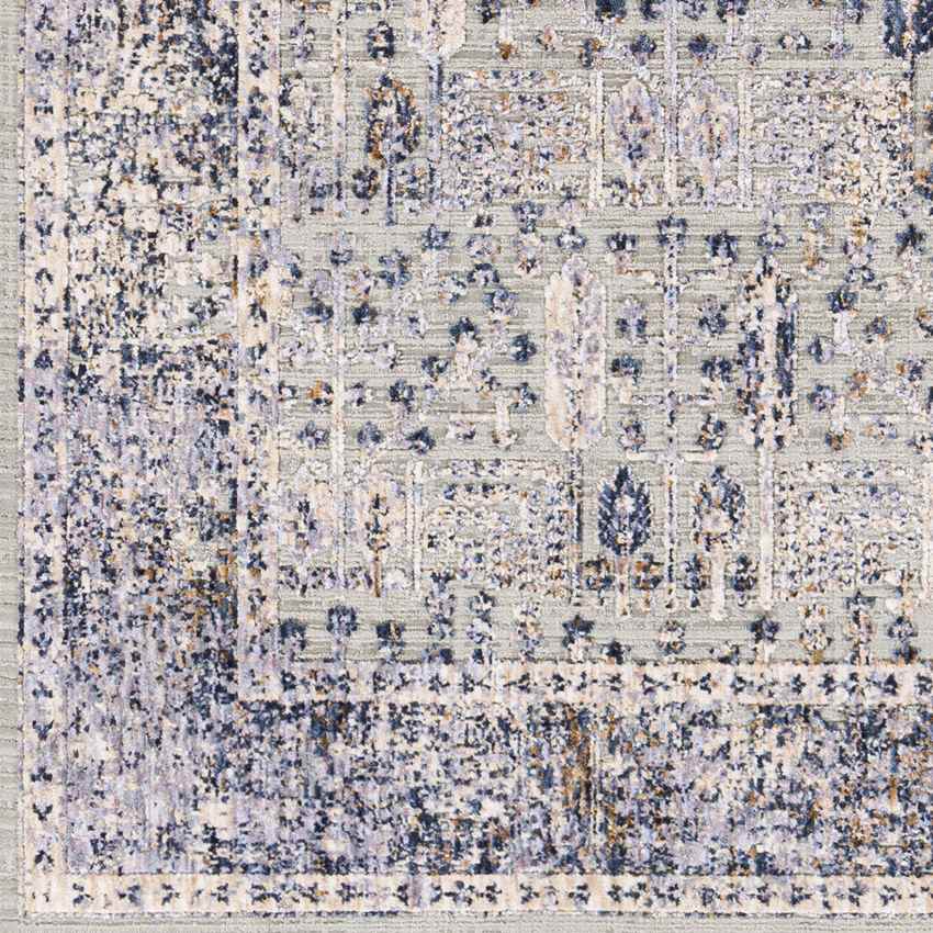 Lieshout Traditional Pale Blue Area Rug
