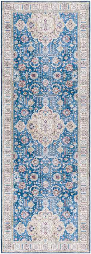 Loeswijk Traditional Sky Blue Area Rug