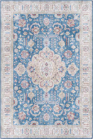 Loeswijk Traditional Sky Blue Area Rug