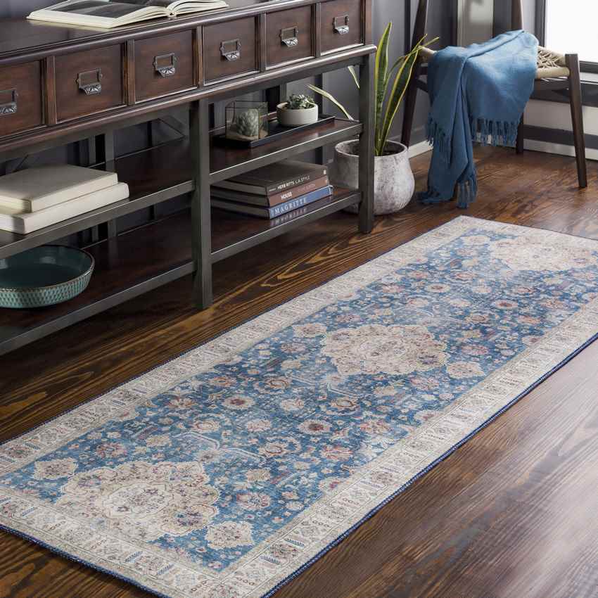 Loeswijk Traditional Sky Blue Area Rug