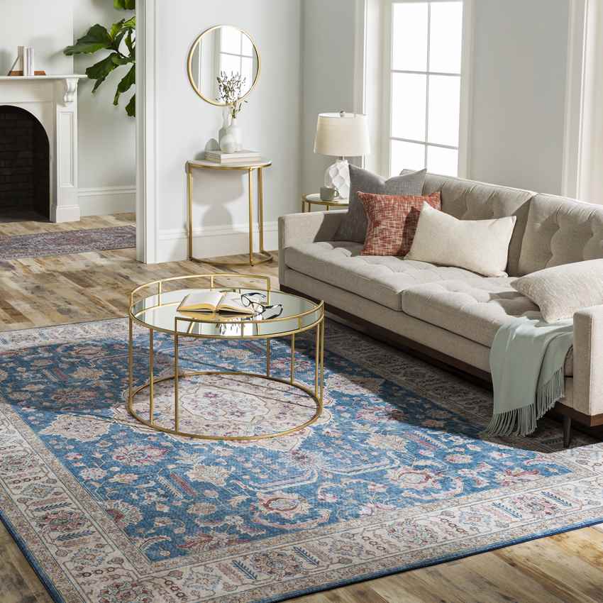 Loeswijk Traditional Sky Blue Area Rug