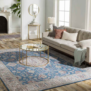 Loeswijk Traditional Sky Blue Area Rug