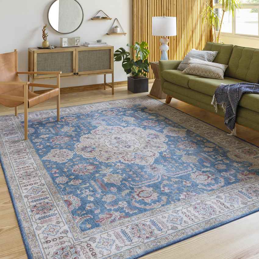 Loeswijk Traditional Sky Blue Area Rug