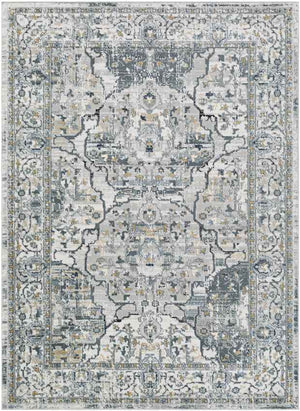Mierlo Traditional Charcoal Area Rug