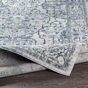 Mierlo Traditional Charcoal Area Rug