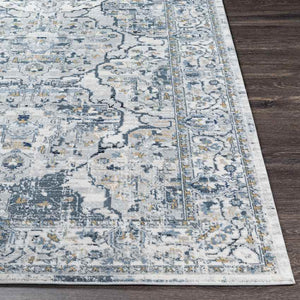 Mierlo Traditional Charcoal Area Rug