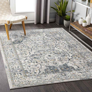 Mierlo Traditional Charcoal Area Rug