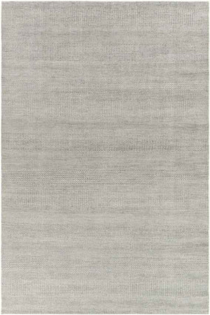 Hefswal Modern Medium Gray Area Rug
