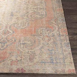 Jukwerd Traditional Cream Area Rug