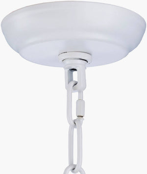 Watseka Ceiling Lighting