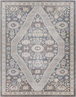 Danny Traditional Taupe Area Rug