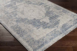 Jasonville Traditional Denim Area Rug