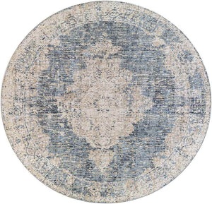 Jasonville Traditional Denim Area Rug