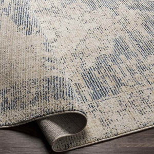 Jasonville Traditional Denim Area Rug