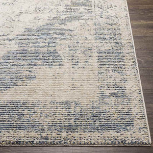 Jasonville Traditional Denim Area Rug