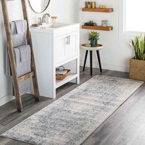 Jasonville Traditional Denim Area Rug
