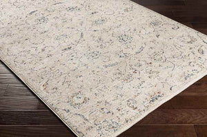Montpelier Traditional Beige Area Rug