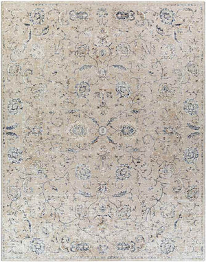 Montpelier Traditional Beige Area Rug