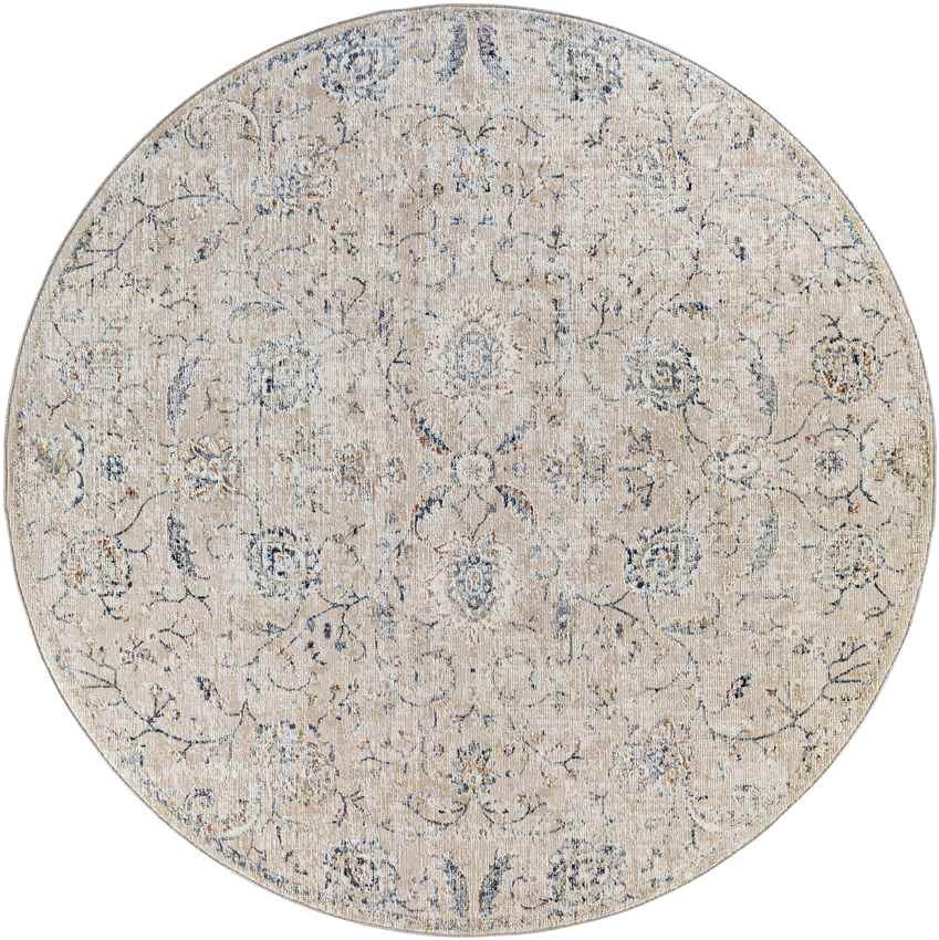 Montpelier Traditional Beige Area Rug