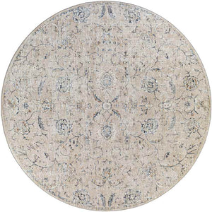 Montpelier Traditional Beige Area Rug