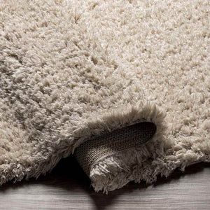 Abraham Modern Beige Area Rug