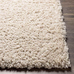 Abraham Modern Beige Area Rug