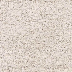 Abraham Modern Beige Area Rug