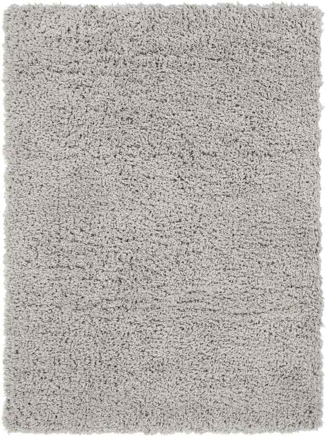 Abraham Modern Gray Area Rug