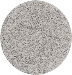 Abraham Modern Gray Area Rug