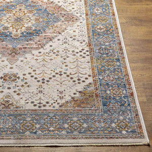 Todd Traditional Burnt Orange Area Rug