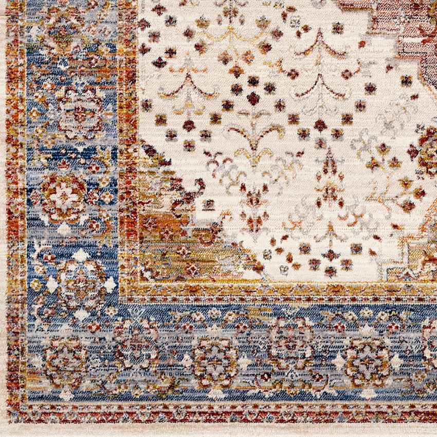 Todd Traditional Burnt Orange Area Rug