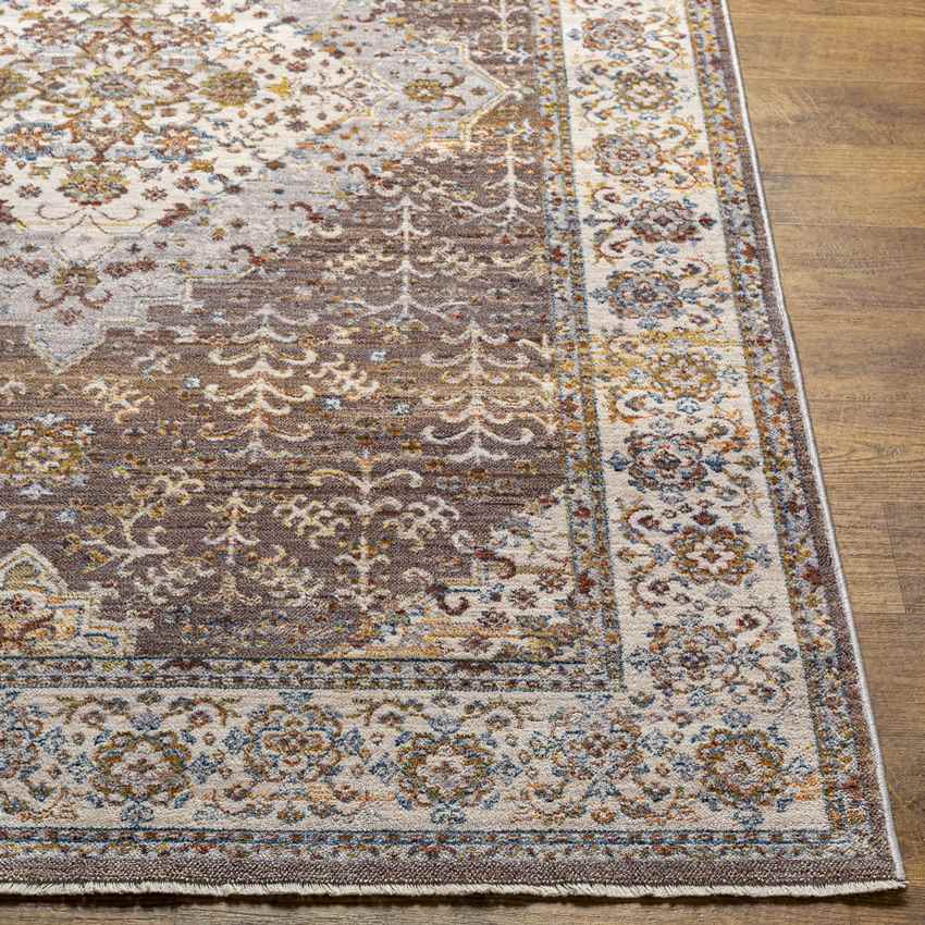 Todd Traditional Taupe Area Rug