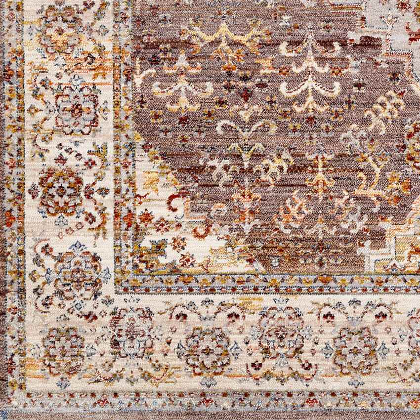 Todd Traditional Taupe Area Rug