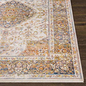 Willow Hill Traditional Burnt Orange Area Rug